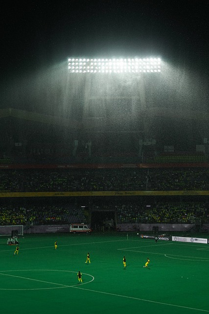 的胜利者 的胜利者
